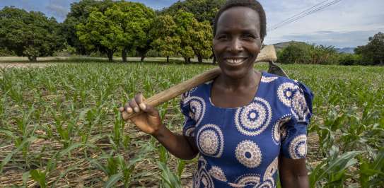 Nyarai Zirugo in her crop field in Zimbabwe