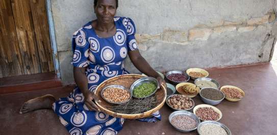 Nyarai shows off the variety of fruits and nuts harvest from the entrance of the organic store constructed through the BRACT project.