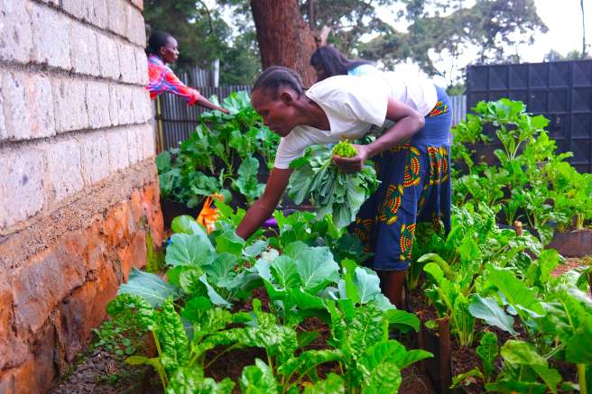 Woman gardening