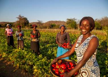 Woman holding basket in field